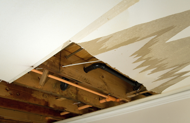 Home mold test