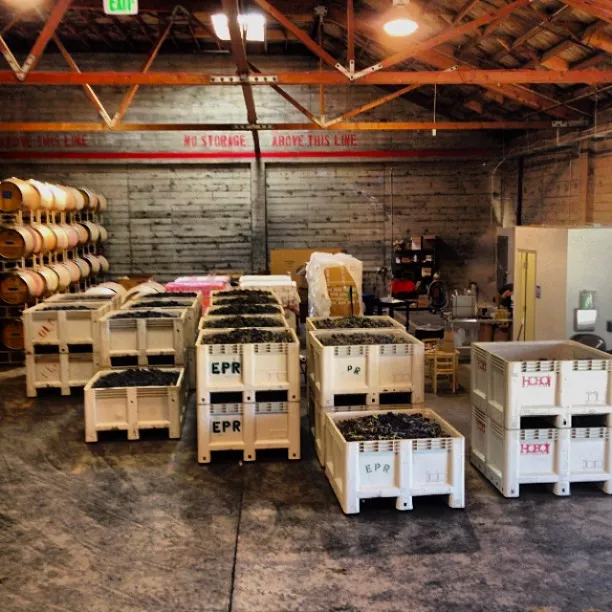 Wine fermentation vessels