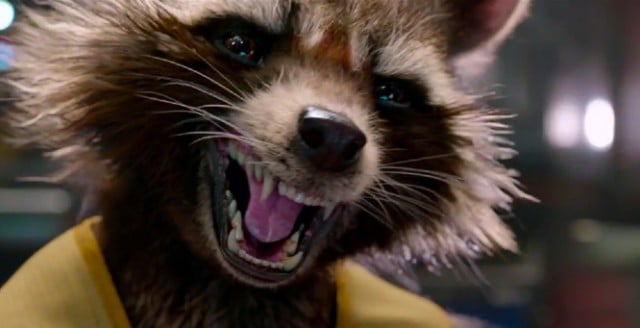 Rocket Raccoon in Guardians of the Galaxy | Source: Marvel