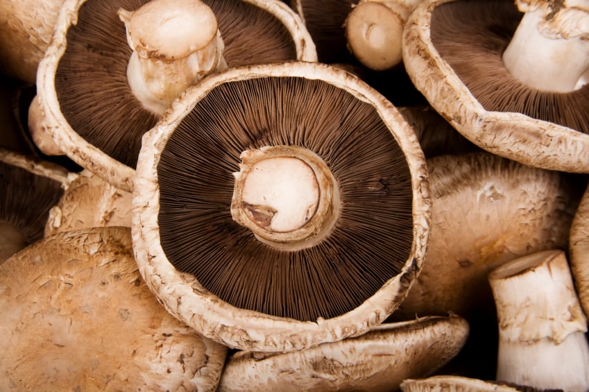 Portobello mushrooms