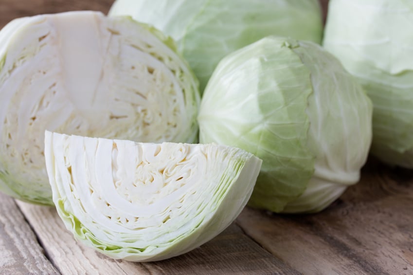 cabbage