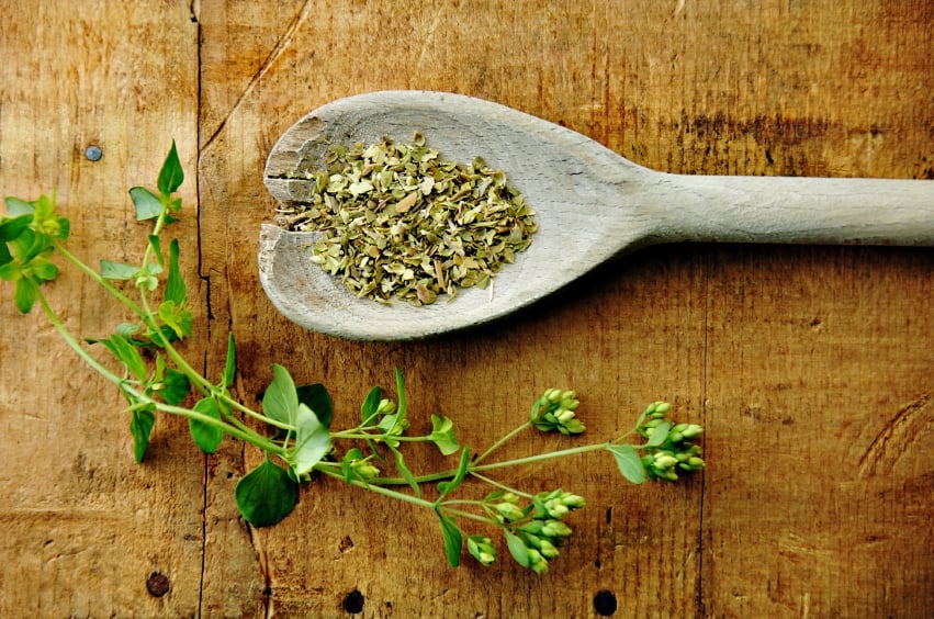 dried oregano