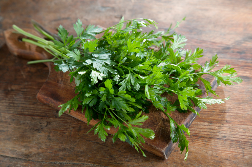 bunch of parsley