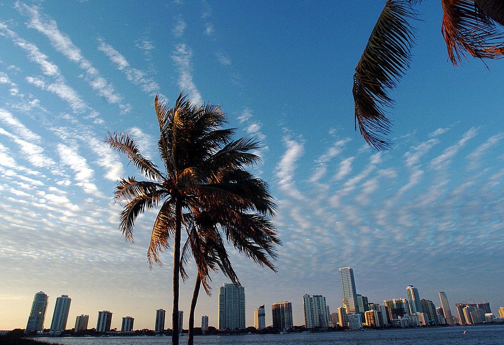 miami florida skyline