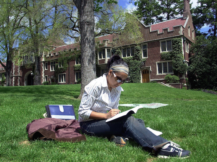 person sitting on grass doing homework