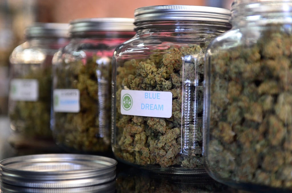 Jars of cannabis in a retail store