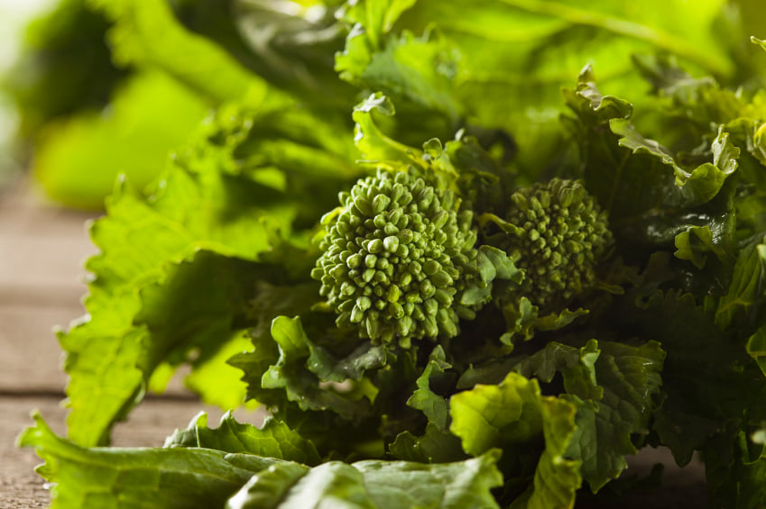 close-up of broccoli rabe