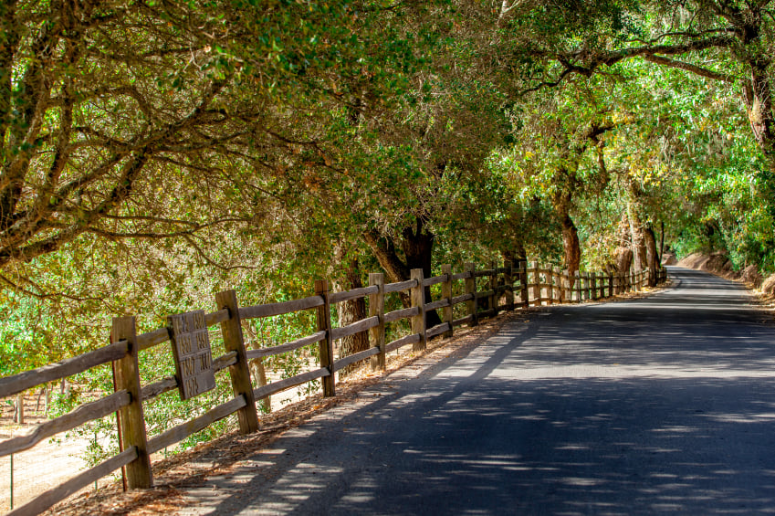 Napa Valley road