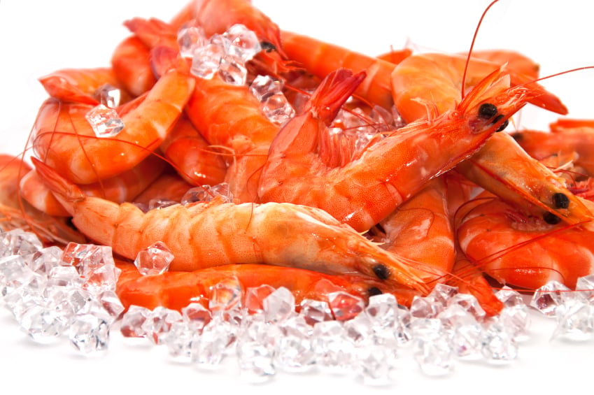 large fresh shrimp
