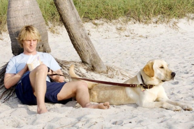 Marley & Me