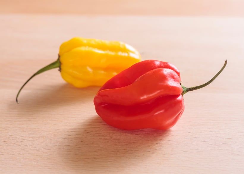 two scotch bonnet chiles