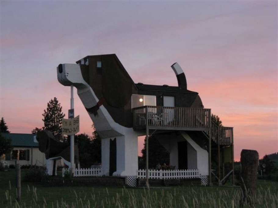 house shaped like a dog