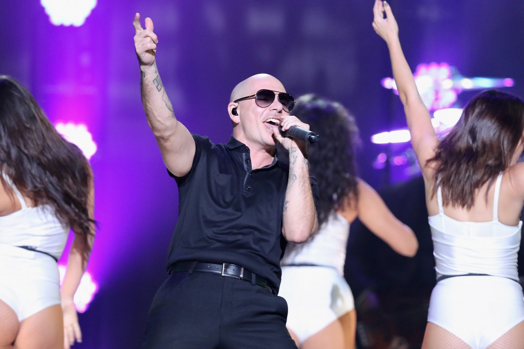 pitbull