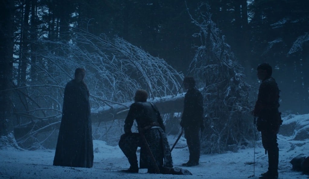 Brienne and Sansa - Game of Thrones