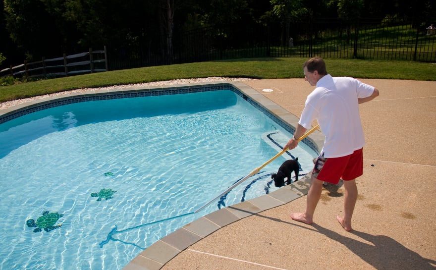Man cleaning pool with a dog