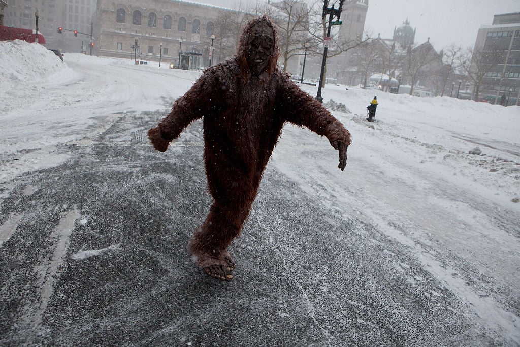 bigfoot