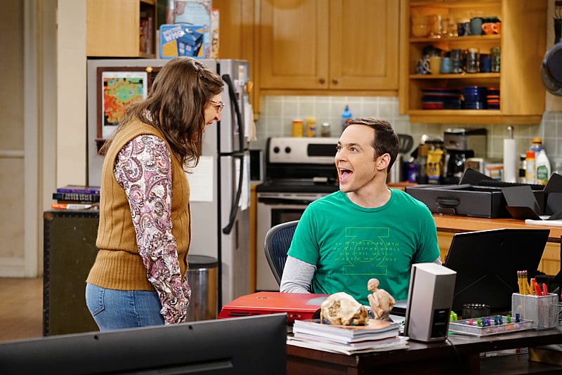 Image result for sheldon and amy