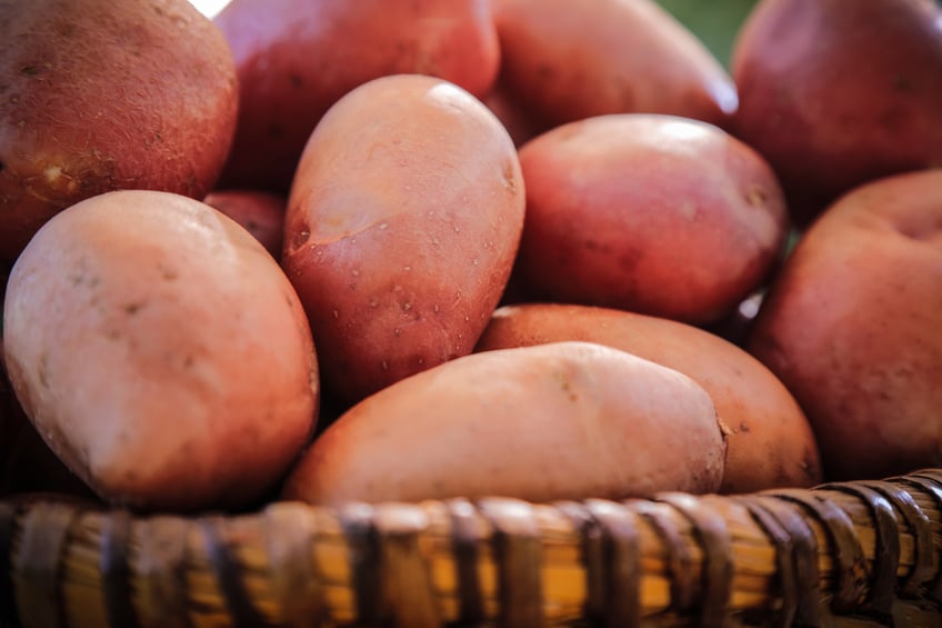 Close up of fresh potatoes