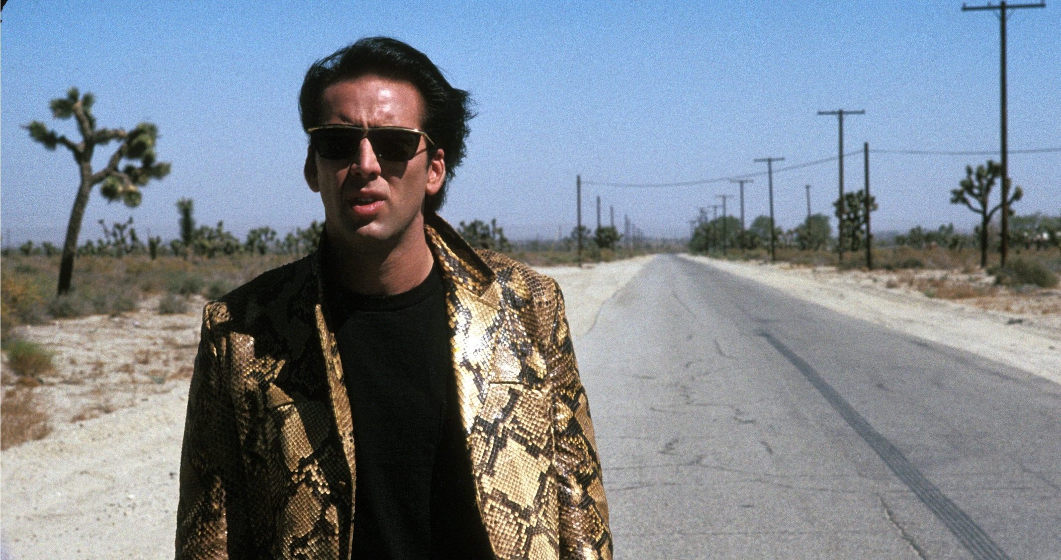 Wild at Heart