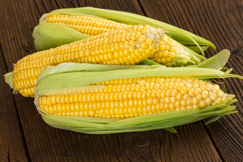 corn on the cob, a food that doesn't need to be organic to be safe