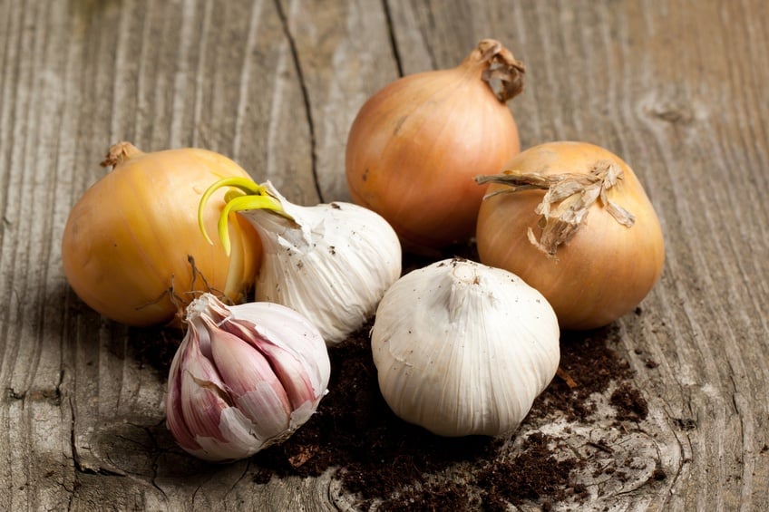 three onions and garlics