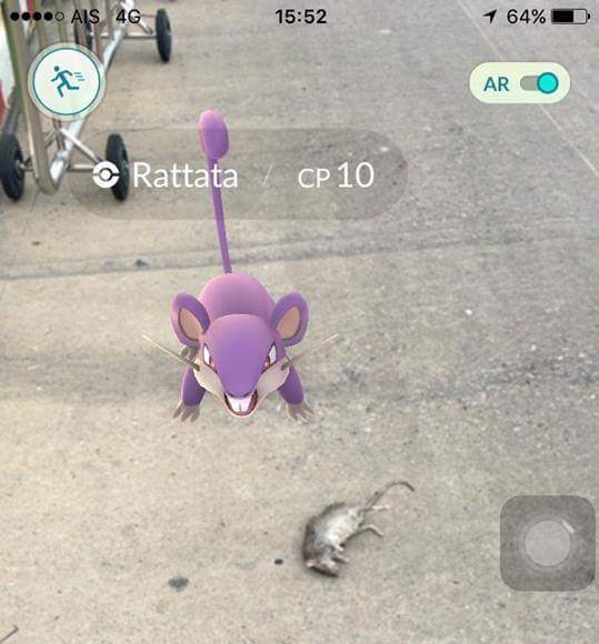 A Rattata Pokemon stands near a dead rat.