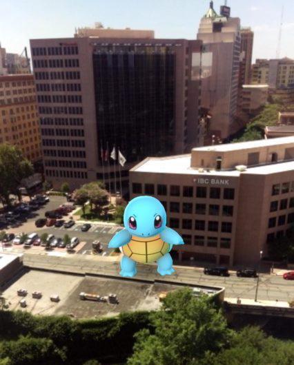 Squirtle looking big in Pokemon Go.