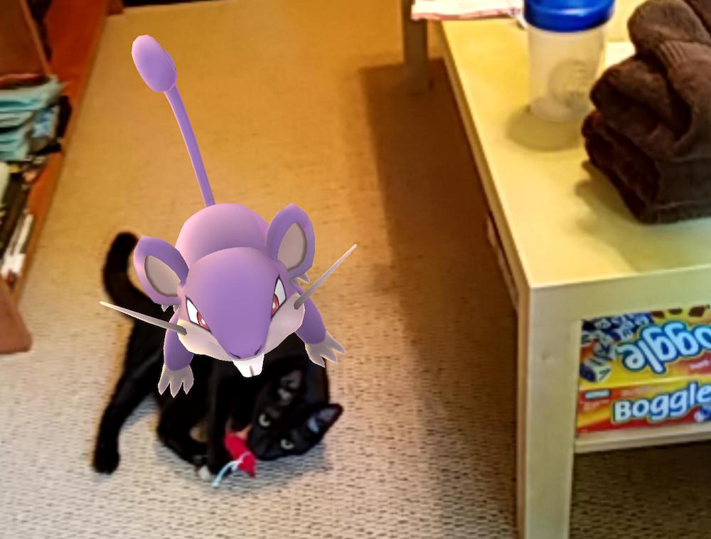 A Pokemon on a pet in Pokemon GO.