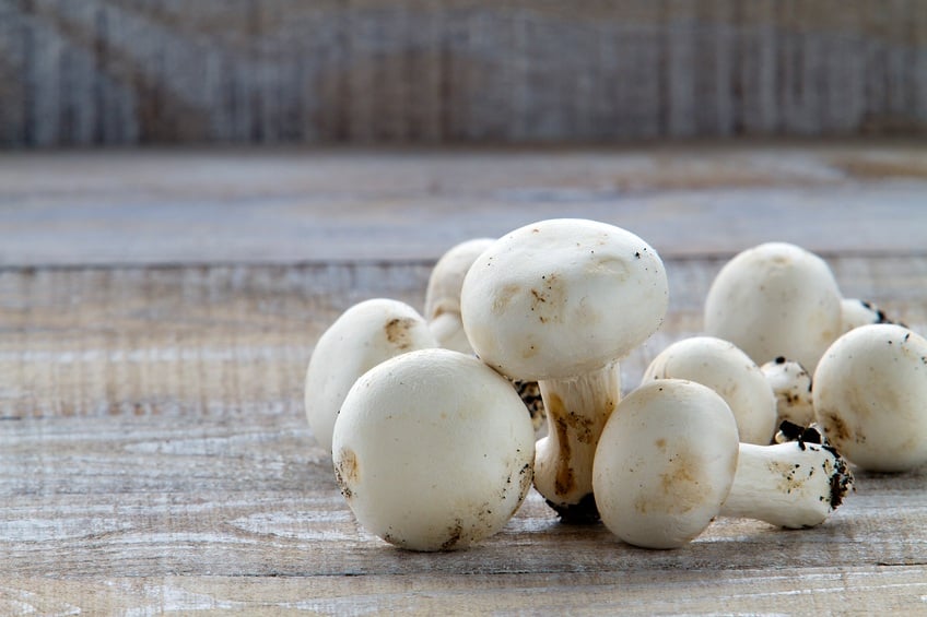 White mushrooms