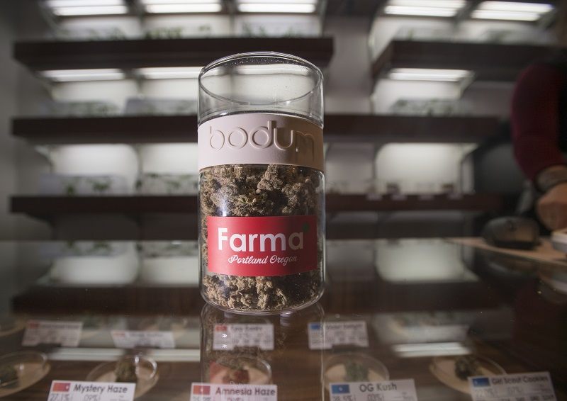 Nugs of "Animal Cookie" are seen on a counter at Farma, a marijuana dispensary, in Portland, Oregon