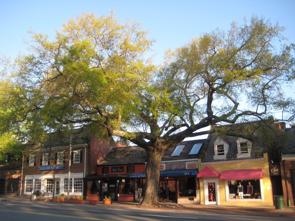 street in Chapel Hill, NC