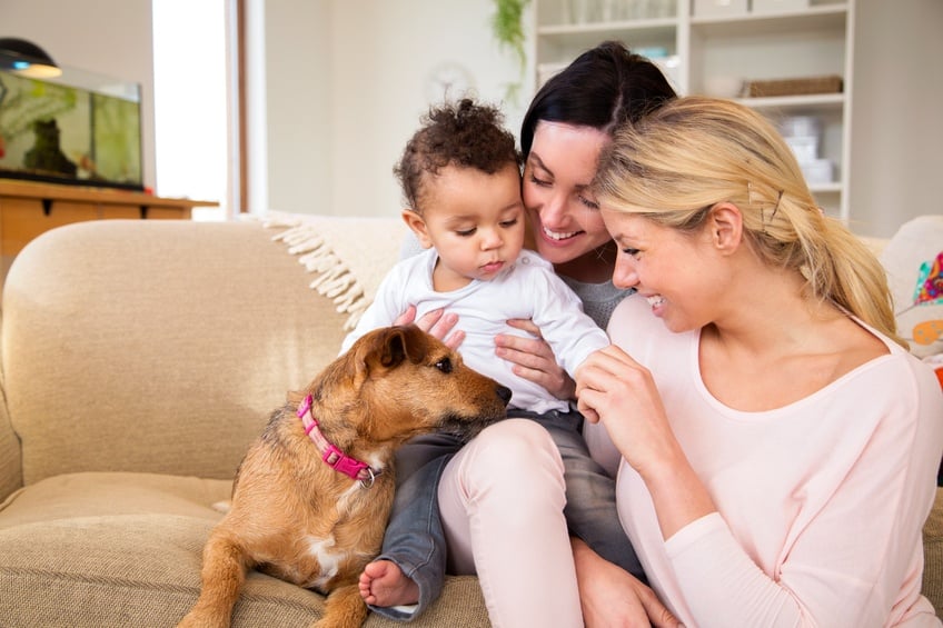 Same sex female couple sitting with their son and dog