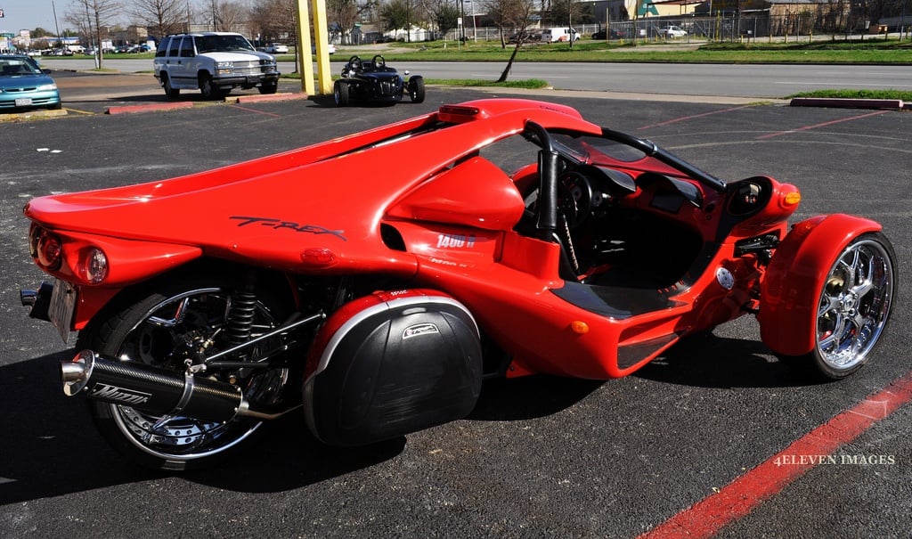 campagna-t-rex-16-s.jpg