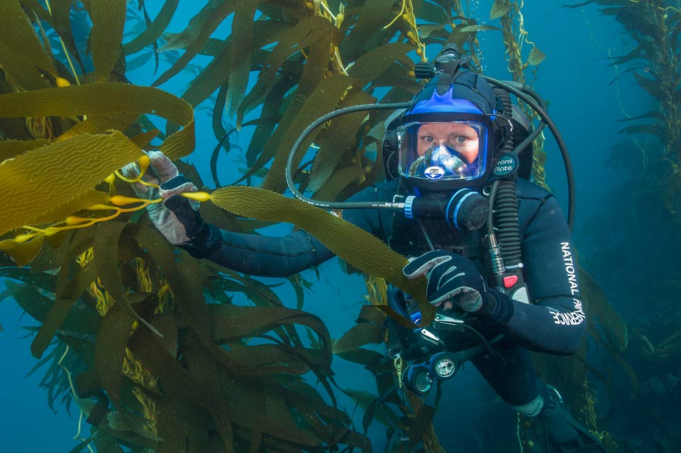 Channel Islands National Park
