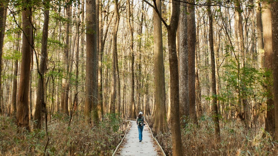 Congaree National Park