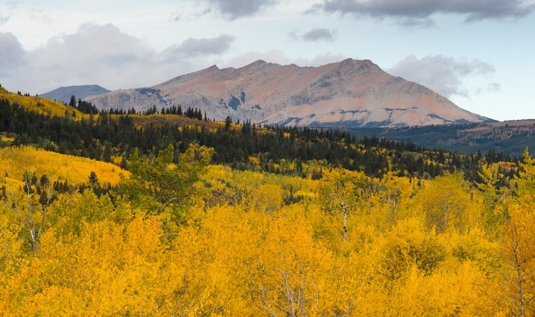 Fall colors saturate Glacier National Park