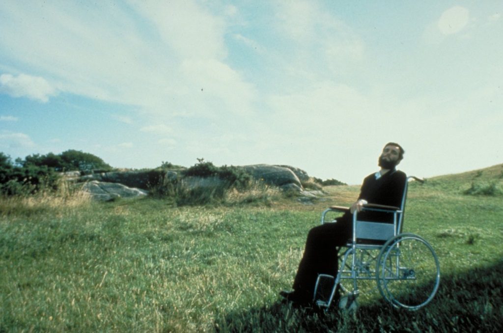 Daniel Day-Lewis sits in a wheelchair in a green field
