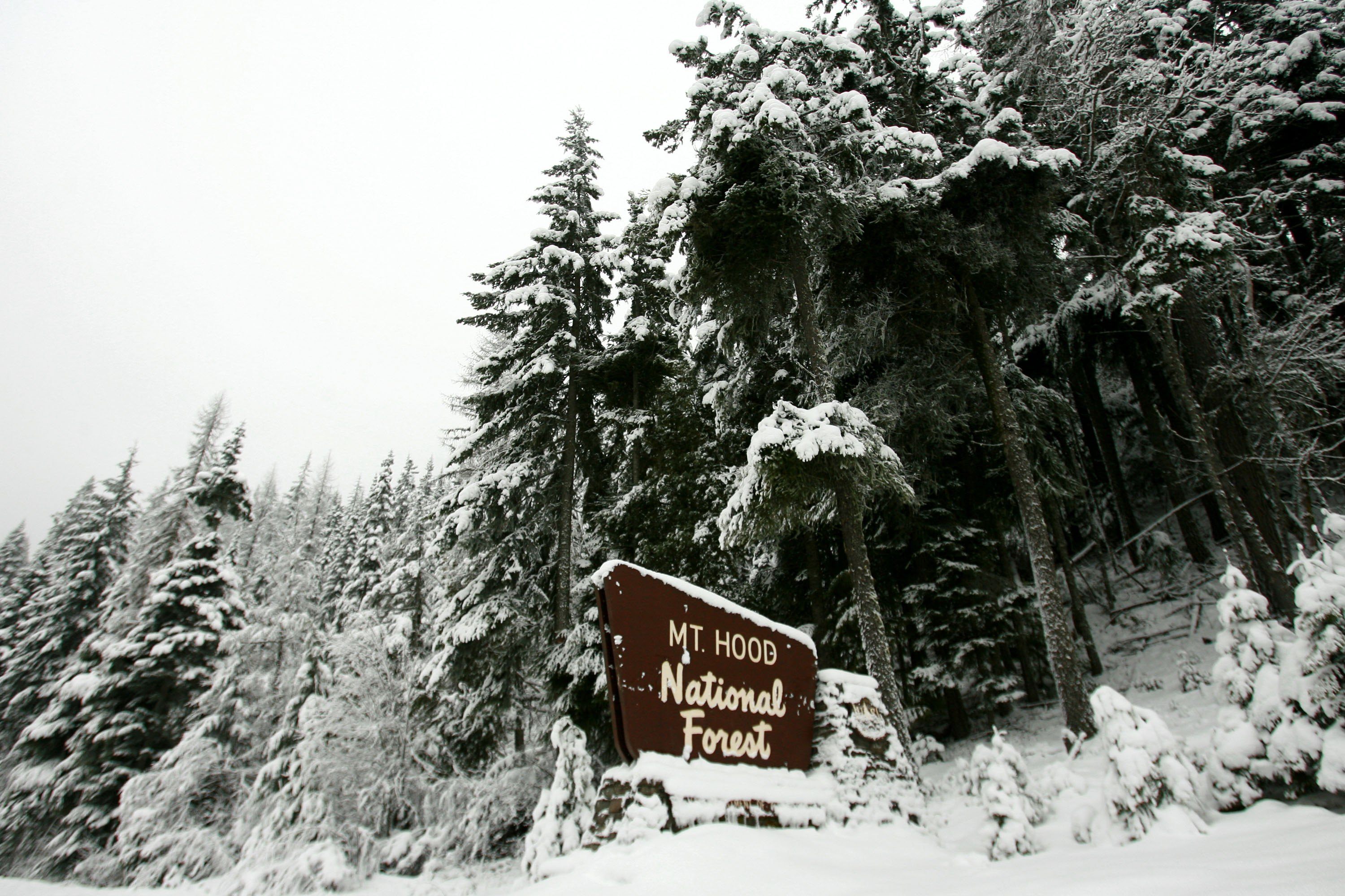 A sign for Mt. Hood National forest
