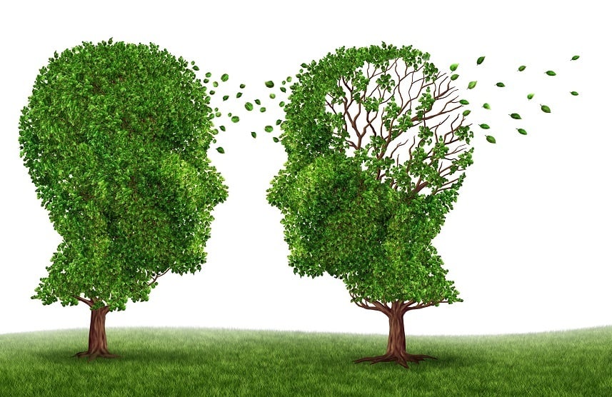 Two trees in the shape of a human head and brain as a symbol of the stress