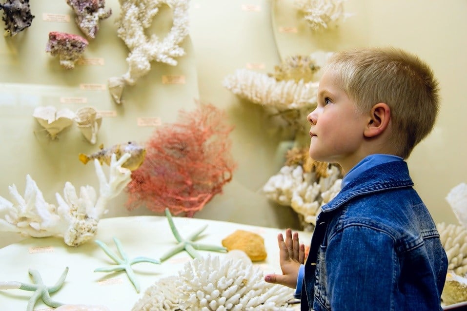 Small boy examine corals