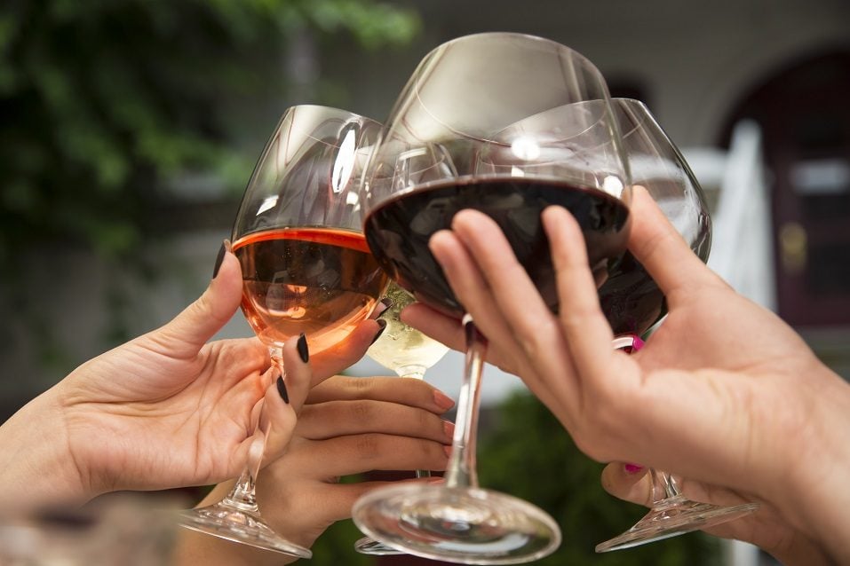 people holding wine