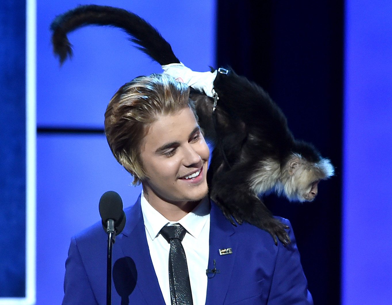 Justin Bieber, wearing a blue suit coat and black tie, smiles as a monkey crouches on his shoulder during the Comedy Central Roast of Justin Bieber.