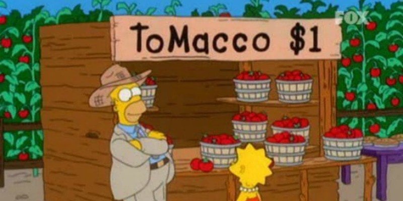 Home is leaning against a ToMacco stand while Lisa looks at it.