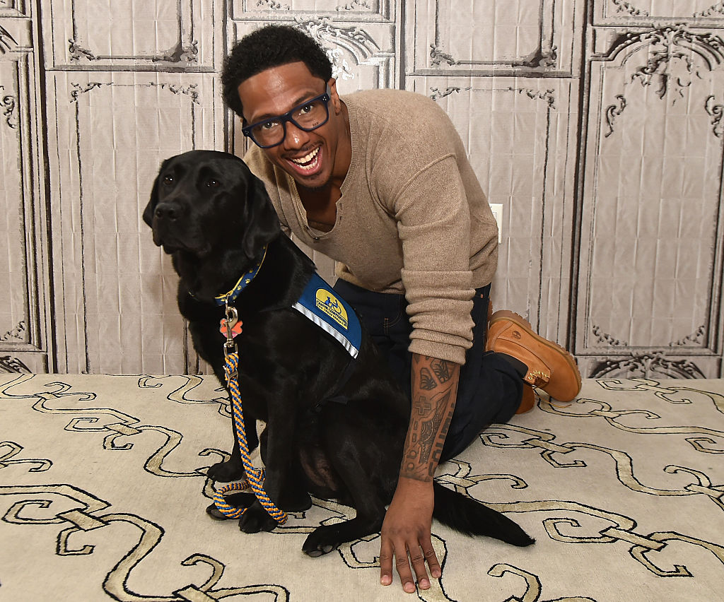 Here Are Hollywood's Most Passionate Celebrity Animal Activists Here Are Hollywood's Most Passionate Celebrity Animal Activists