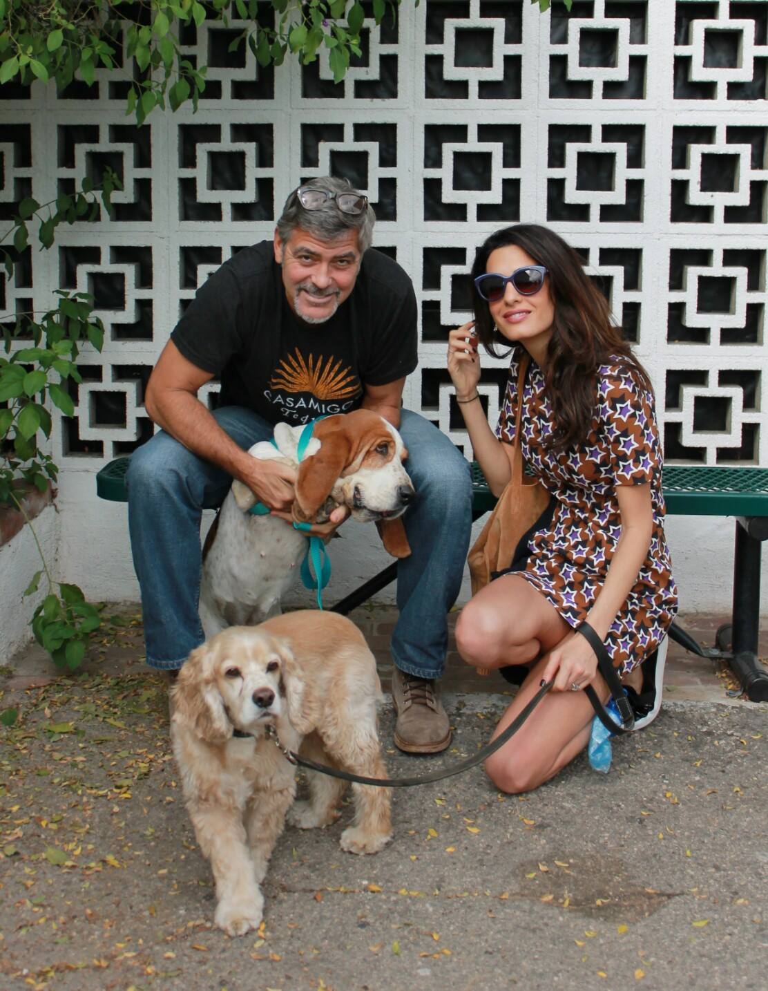 George Clooney and Amal Clooney with their rescue dogs