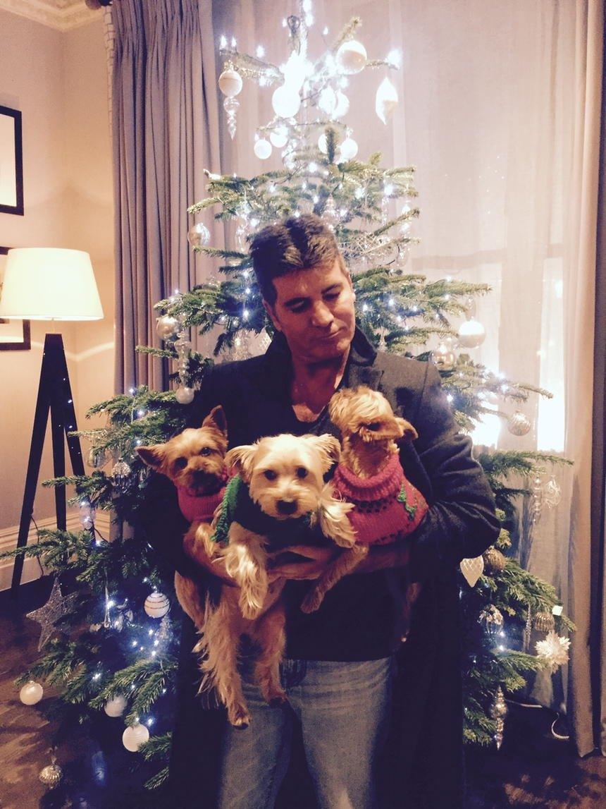Simon Cowell poses with his rescue dogs in front of a Christmas Tree.
