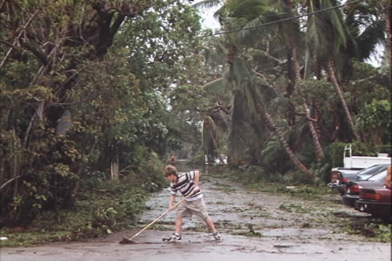 trees down on street