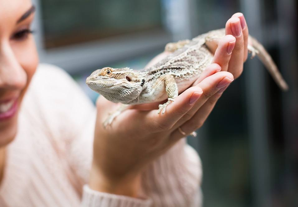 woman holding a lizard