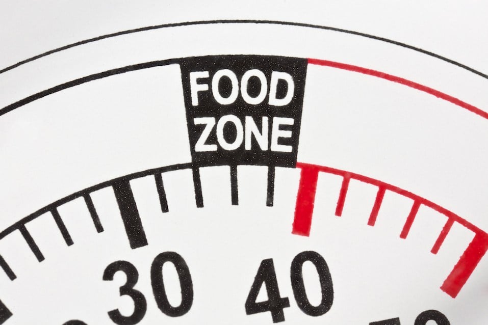 thermometor marked "food zone" from 34 to 40 degrees