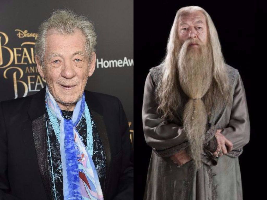 Ian McKellen on the red carpet and Albus Dumbledore in Harry Potter